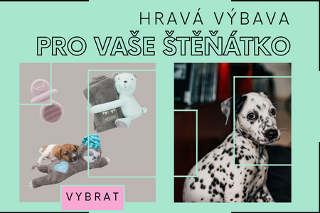 Hračky pro štěňátko